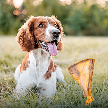 Lamb Fan Bone Dog Chews