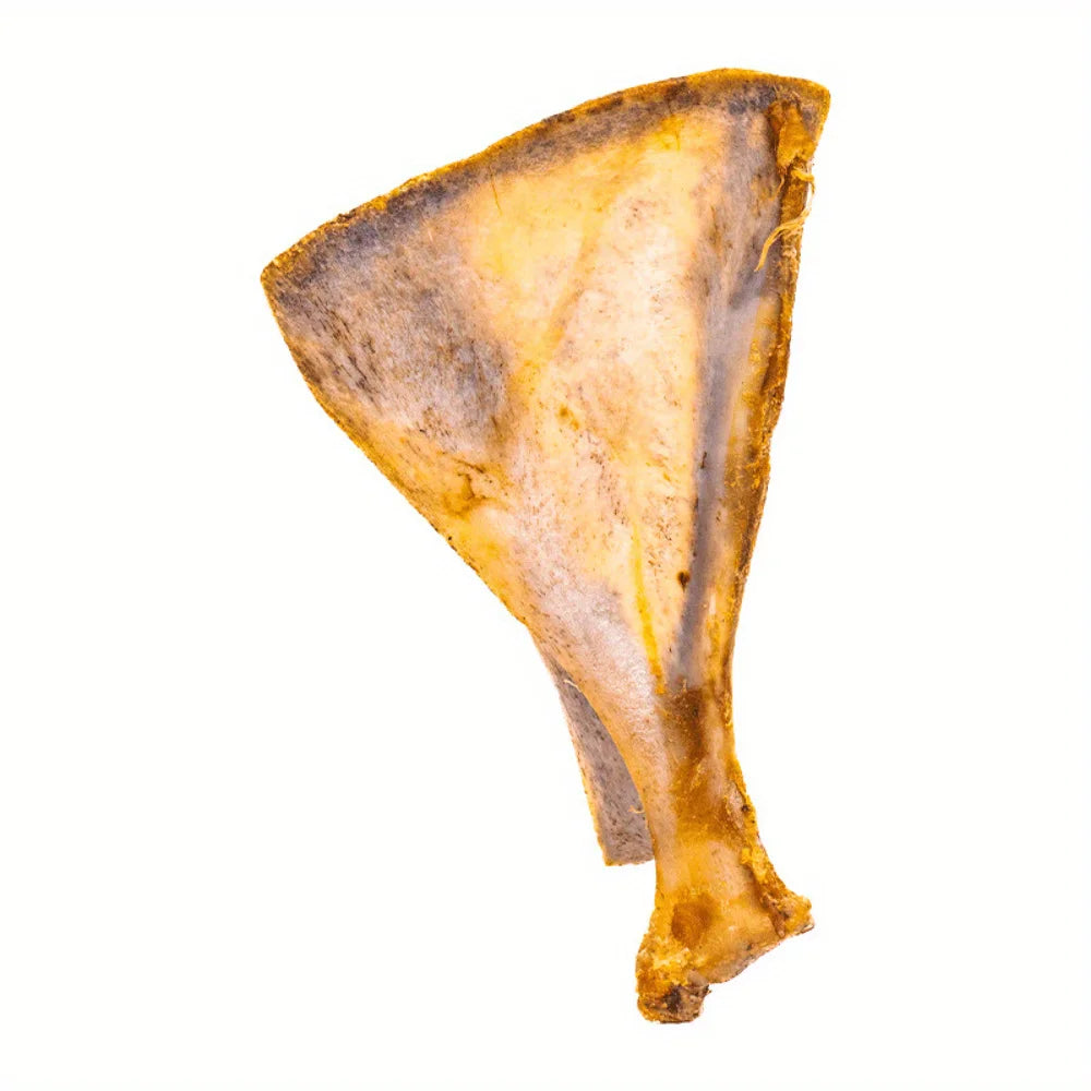 Lamb Fan Bone Dog Chews