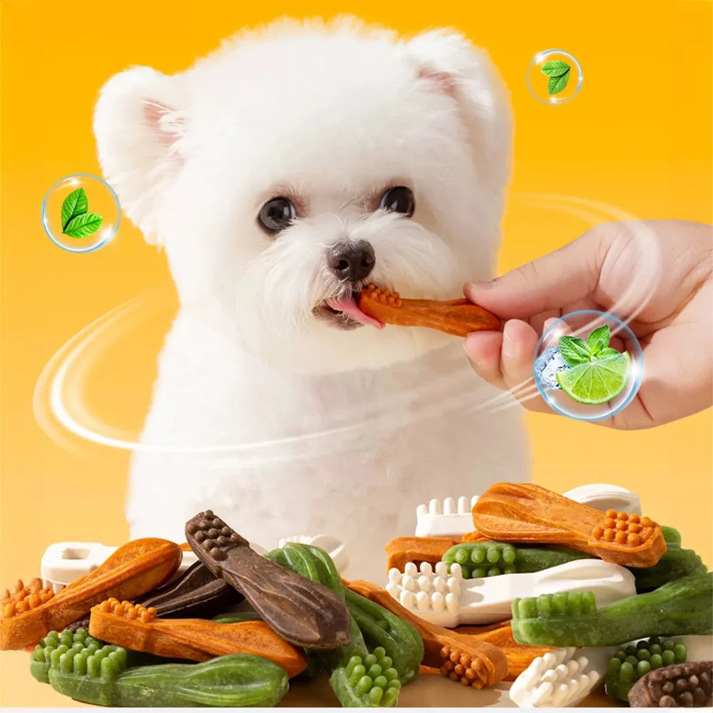 Chicken-Flavored Dental Care Dog Treats