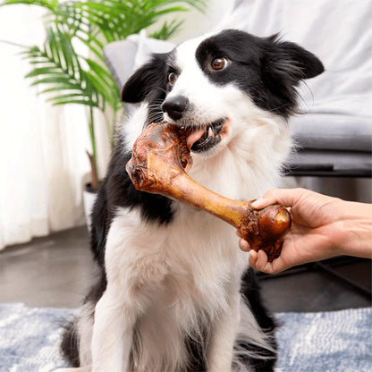 Middle-Large Cow Bone Dog Chews