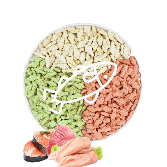 Cat Fish-Shaped Biscuit Treats