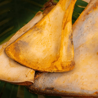 Lamb Fan Bone Dog Chews